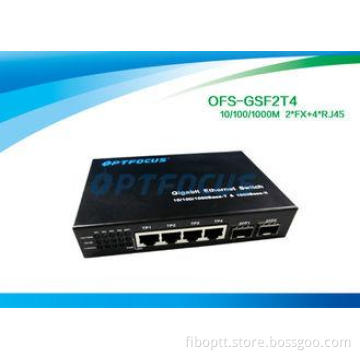 Managed Ethernet 12 Gigabit Fiber Optic Switch Dual 3014090
